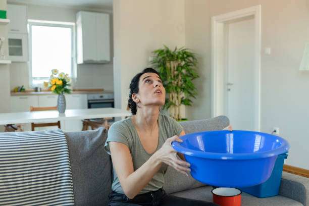 nettoyage après un dégâts des eaux