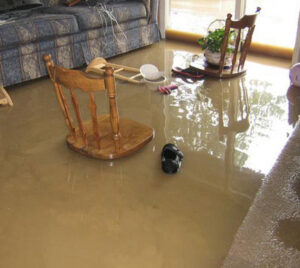 nettoyage après dégât des eaux Lyon